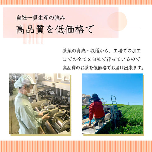 日本紅茶粉 50g